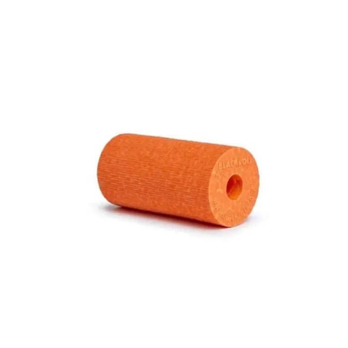 Blackroll Micro Foam Roller (Pocket Size)