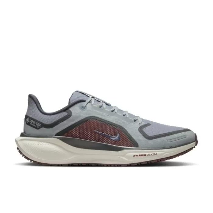 Nike Pegasus 41 Gore-Tex