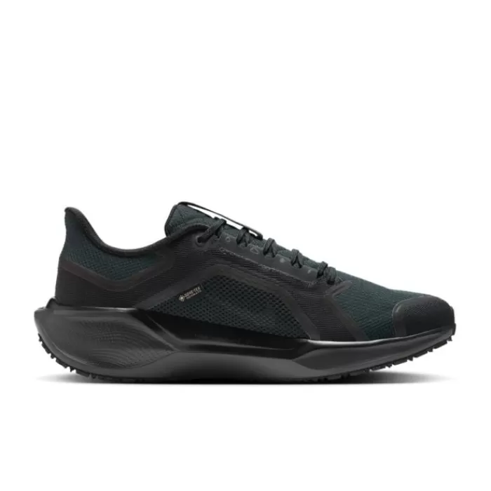 Nike Pegasus 41 Gore-Tex