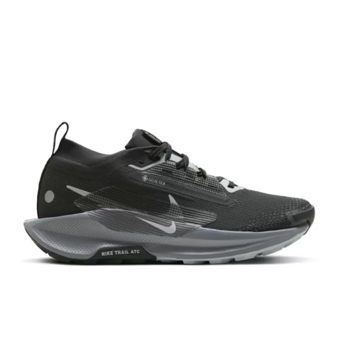 Nike Pegasus Trail 5 Gore-Tex