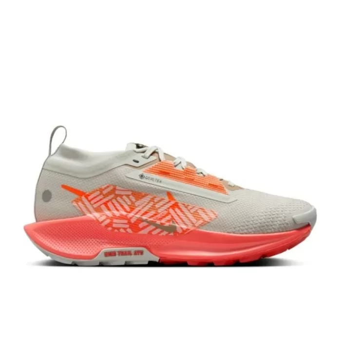 Nike Pegasus Trail 5 Gore-Tex