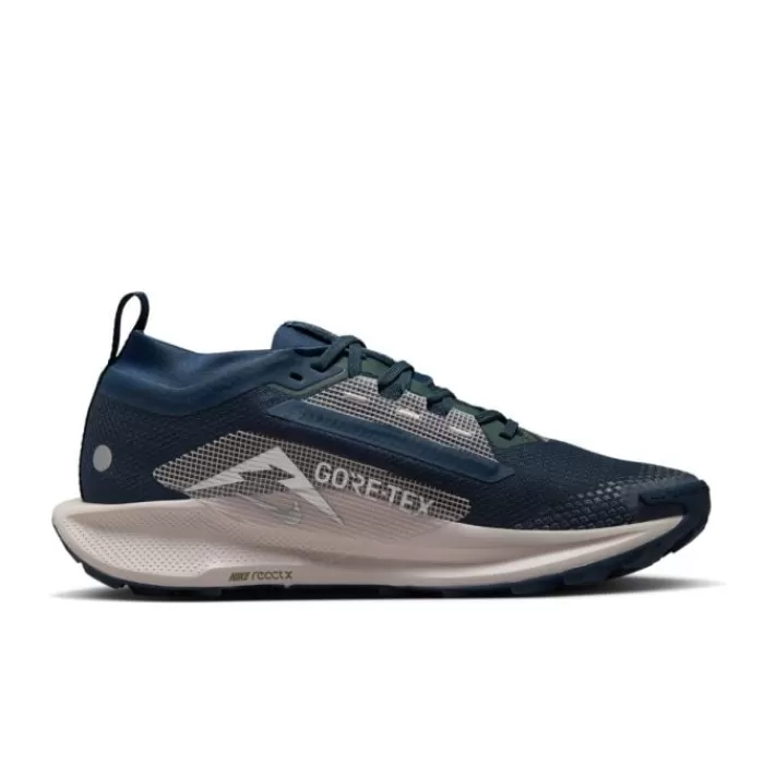 Nike Pegasus Trail 5 Gore-Tex