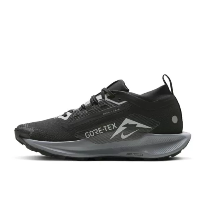 Nike Pegasus Trail 5 Gore-Tex