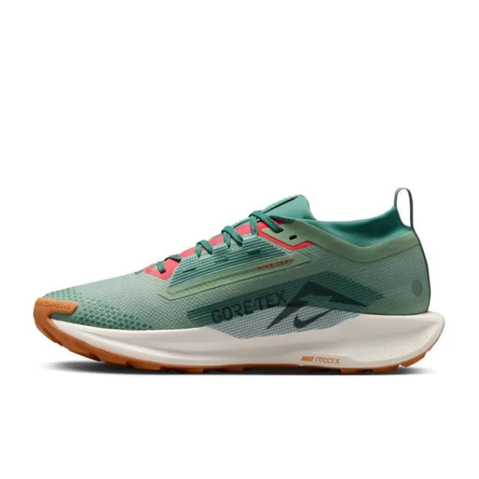 Nike Pegasus Trail 5 Gore-Tex