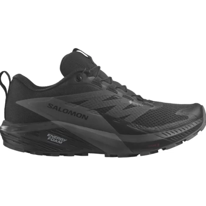 Salomon Sense Ride 5 GTX